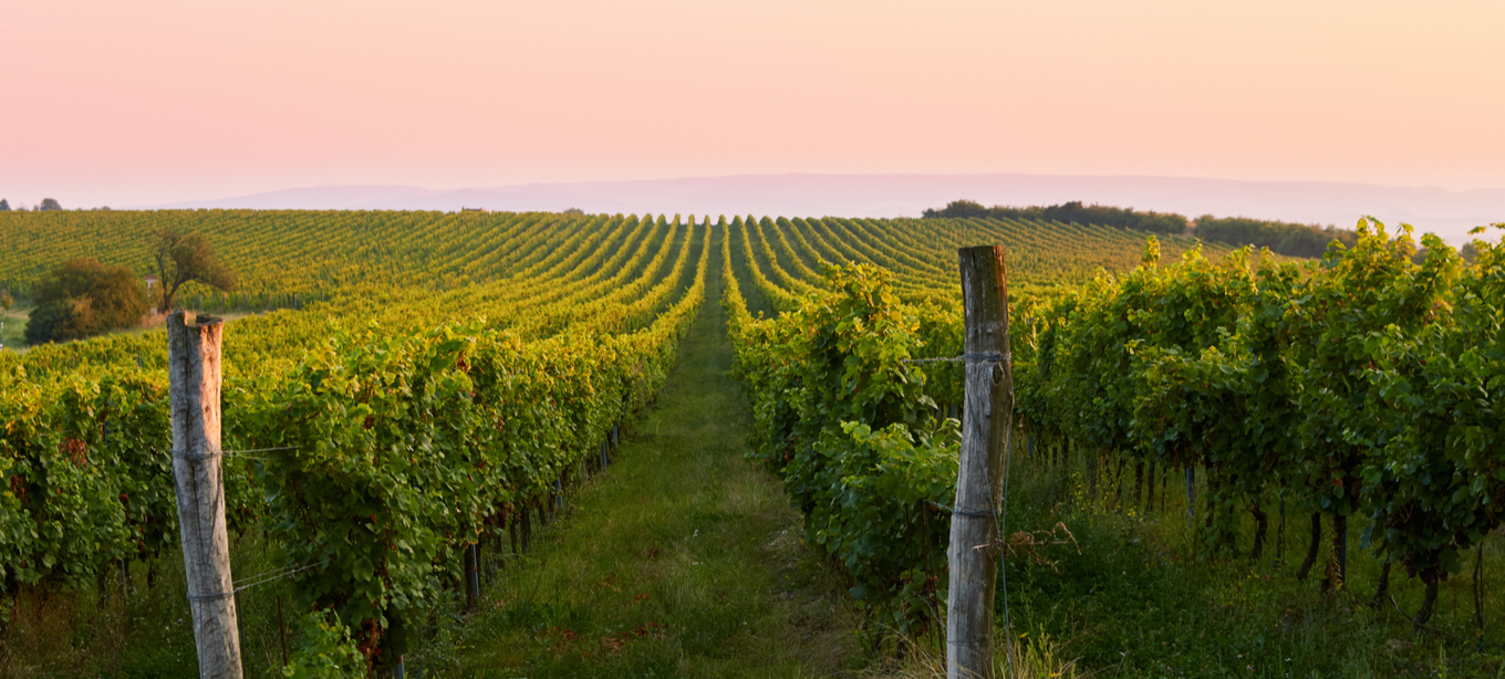 Goulburn Valley Image